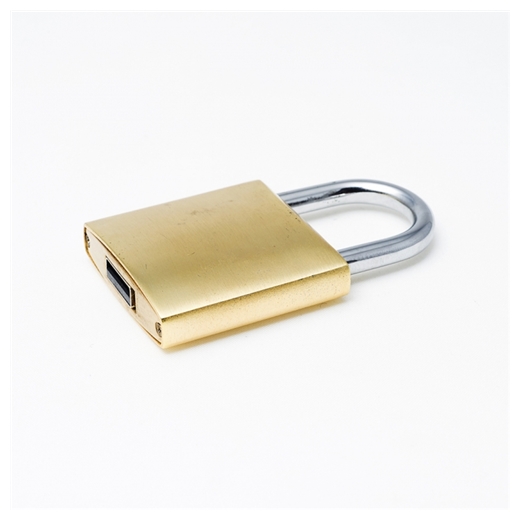 USB - memorija lokot