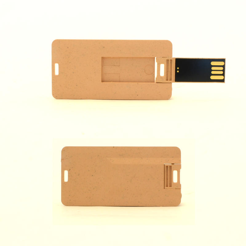 USB – memorija Topola