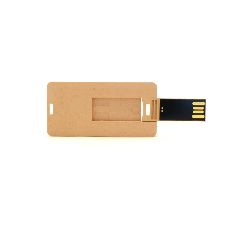 USB – memorija Topola - Slika 2